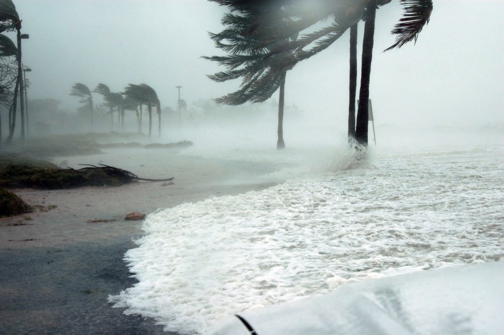 hurricane, Florida, coastline